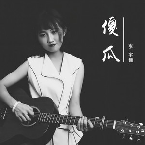 傻瓜封面