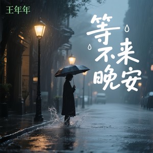 王年年 - 等不来晚安 (DJ京仔版)