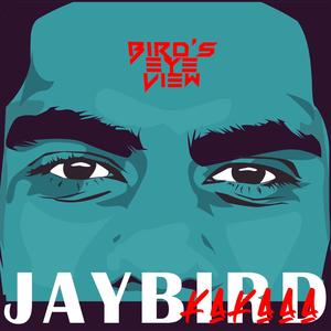 Bird's Eye View (Explicit)