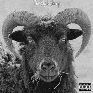 The Black Sheep (Explicit)