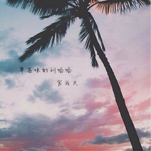 心系云南 (Remix)