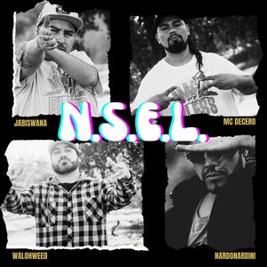 N.S.E.L. (feat. Nardo Nardini, Jabiswana & Waloh Weed) [Explicit]