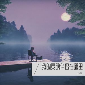 寻觅灵魂伴侣封面