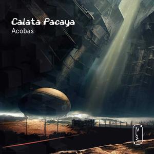 Calata  Pacaya- ZION 604