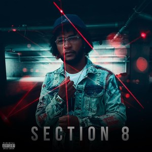 Section 8 (Explicit)