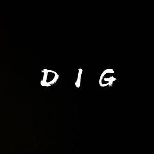 DIG