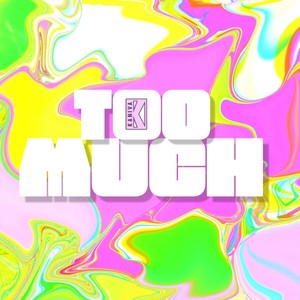 Too Much (Explicit)