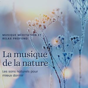 Atmosphère relaxante