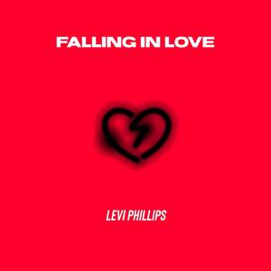 Falling In Love (feat. Dmajormusic)