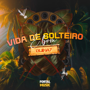 Vida de Solteiro é Bom (Remix)