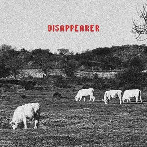 DISAPPEARER