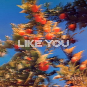 Like You