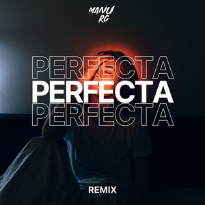 Perfecta (Remix)