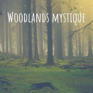 Woodlands Mystique