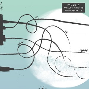 Ya Nadie Se Sorprende (Original Mix)