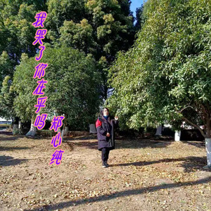 我哭了你在乎吗