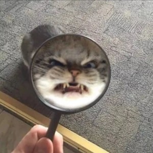 我看过