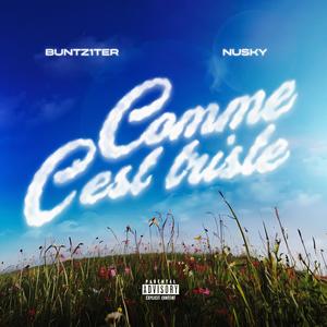 Comme c'est triste (Explicit)