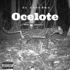 El Enfermo - Ocelote (Explicit)