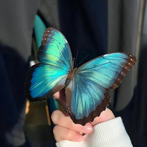 零散的爱意