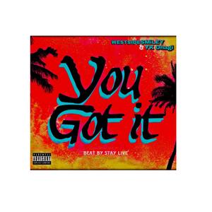 You Got It (feat. Yk Ohagi) [Explicit]