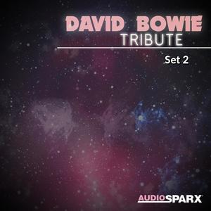 David Bowie Tribute, Set 2