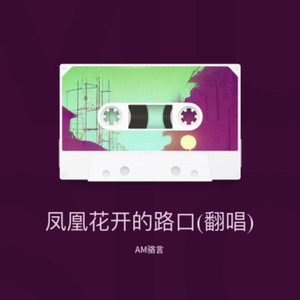 凤凰花开的路口