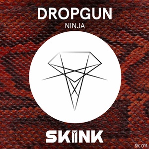 Ninja封面