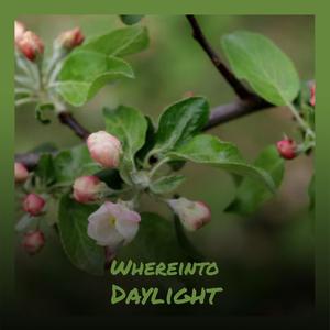 Whereinto Daylight