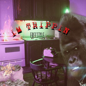 IM TRIPPIN FREESTYLE (feat. Dee Mula) (Explicit)