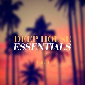 Jalapeños Are Not Spicey (DanVee & Mike Vee Remix)