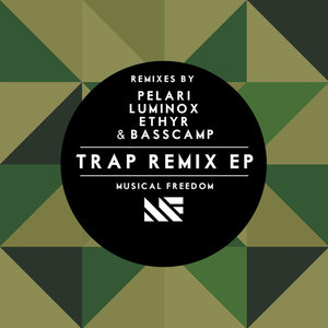 Turn It Up(feat. Like Mike,GTA & Wolfpack) (Pelari TRAP Remix)