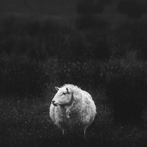 Chosen (feat. Tremese Young)