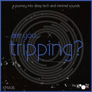 Are You... Tripping?, Vol. 4