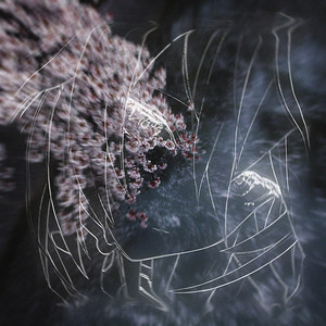 we'll never see again