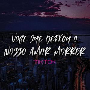 Voce que Deixou o Nosso Amor morrer (feat. Dj LR Souza) [TikTok]