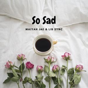 So Sad (feat. Lib Sync) [Explicit]