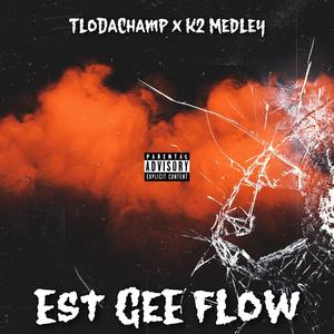 EST Gee Flow (feat. TLoDaChamp) [Explicit]