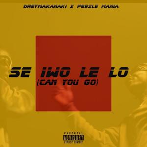 Se Iwo Le Lo (feat. Peezle_mania) (Can You Go) (Explicit)