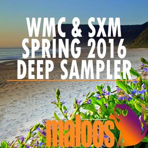 Evolved (Original Mix)