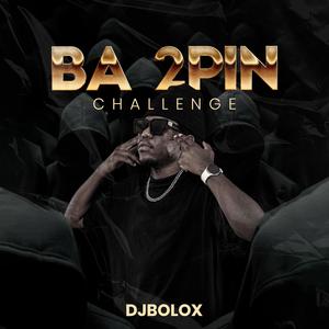 Ba 2Pin Challenge
