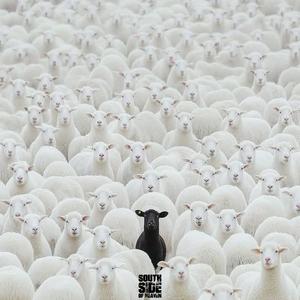 Man of the House (feat. DJ TMB|Explicit)