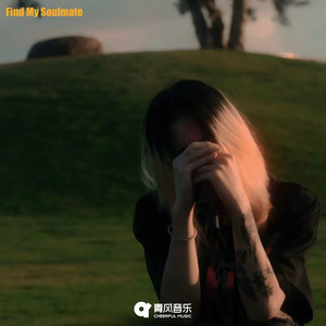 无趣灵魂说明指南