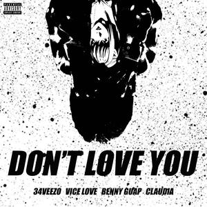 Don't love you (feat. Vice love, Benny Guap & Claudia) [Explicit]