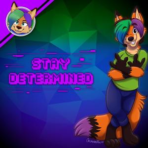 Stay Determined (Explicit)