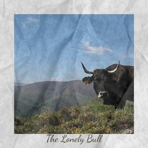 The Lonely Bull