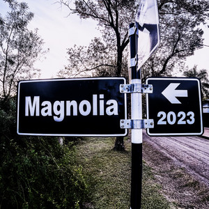 Magnolia (Explicit)