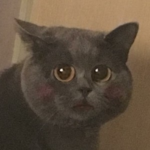 你的蛋蛋呀创作的原声1