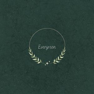 Evergreen (You Didn't Deserve Me At All)