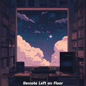 Remote Left on Floor